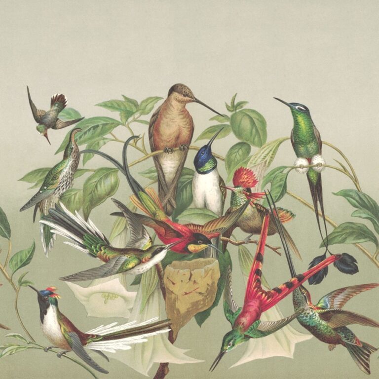 ตัวอย่างวอลเปเปอร์ตกแต่งผนัง รหัส 543537
