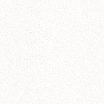 ตัวอย่างวอลเปเปอร์ตกแต่งผนัง รหัส 8190-01