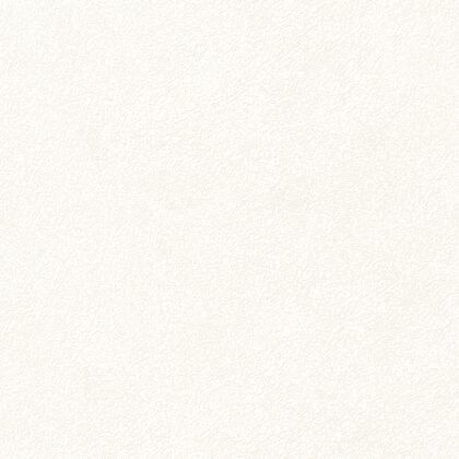 ตัวอย่างวอลเปเปอร์ตกแต่งผนัง รหัส 82546-01 จากตระกูลลายเดียวกัน 2 ตัวเลือก