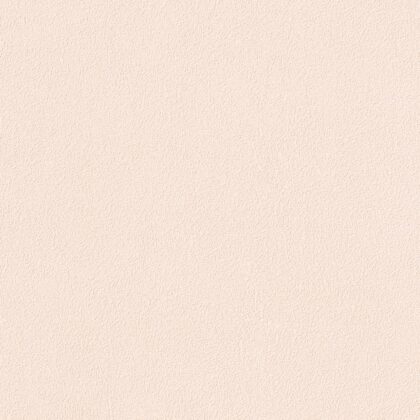 ตัวอย่างวอลเปเปอร์ตกแต่งผนัง รหัส T1059-21